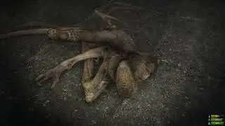 Miscreated - Even The Mutants get Cold