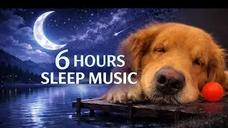 6 HOURS Deep Sleep Music 🌙 Fall Asleep Fast | Calming Night Relaxation