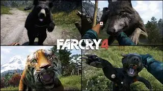 All Animal Attack Animations: Far Cry 4