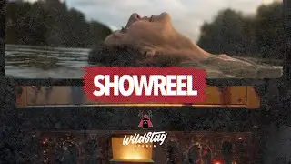 Wild Stag Studio - Video Production Agency Showreel
