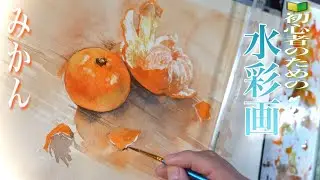 🔰【初心者の為の水彩画】みかんを描く