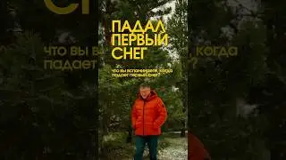 Что вы чувствуете, когда падает первый снег?