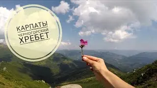 Поход в Карпаты. Путешествие по Черногорскому хребту.