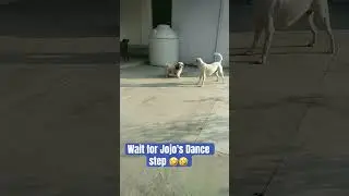 #funny #comedy #fun #love #cute #viral #dance #masti #freedom