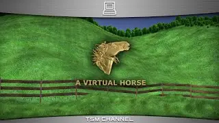 A Virtual Horse (Horse Game)