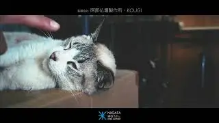 【2024東区OF】阿部仏壇製作所・KOUGI紹介　オープンファクトリー