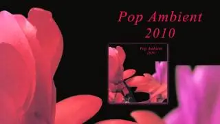 Dj Koze - Bodenweich 'Pop Ambient 2010' Album