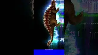 untitled.mp4