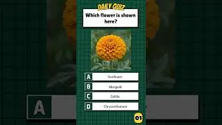 Guess the Flower | Fun Picture Quiz for Everyone