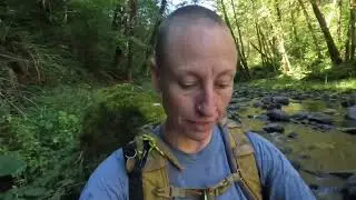 Week 2: a few swimming clips