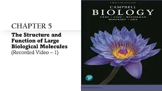Lecture 5 Structure and Function of Large Biological Molecules   Recorded Video 1