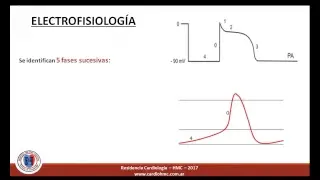 Anatomía del sistema de conducción y electrofisiología.