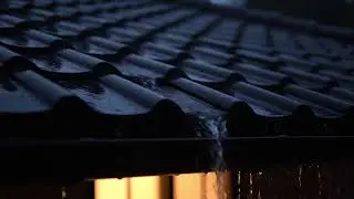 Rain Sounds White Noise for Sleep, Study, Meditation & Stress Relief (Looped)