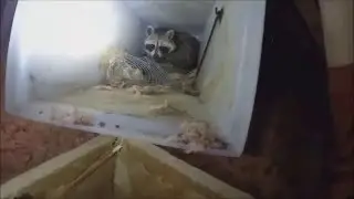 A GOOD DAY IS WHEN EVERYONE'S HAPPY - VARMINT CONTROL BARRIE