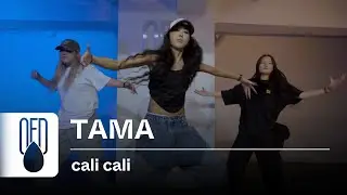 anti. - cali cali | TAMA (Choreography)