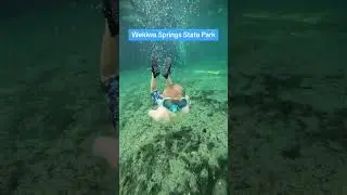 Wekiwa Springs State Park: A Must-Visit Adventure in Central Florida #Florida