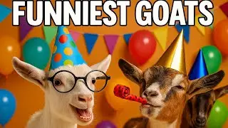 Goat Party Chaos! The Funniest Animals on Earth 🎉🐐