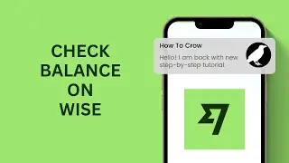 How to check Balance on Wise | Wise Balance
