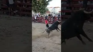 Benavente 2022