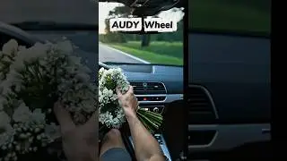 AUDY Wheel and Flowers Steering wheel Hyper Real Asmr ( POV ASMR) #shorts #car #asmr