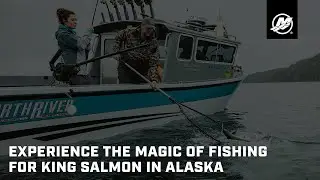 Experience the Magic of Fishing for King Salmon in Alaska