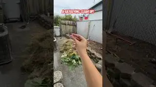 #yard #yardwork #cleaning #cleanup #cleanwithme #cleaningmotivation #maintenance #garden #backyard