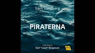 Piraterna - De svenska fildelarna som plundrade Hollywood - Anders Rydell