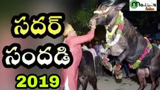 Sadar Special Song 2019 - Shaikpet Darga Basthi Sadar - Peddapuli Eshwar - Manikanta Audios