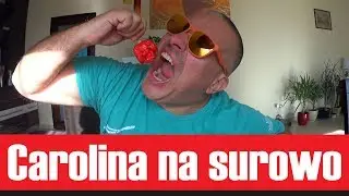 Śmiertelnie pikantna papryka Carolina Reaper na surowo
