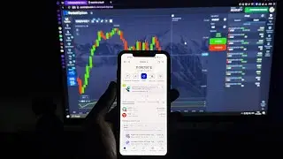 Як я заробив 500 000 грн за місяць на Pocket Option