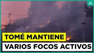 Focos activos en Tomé: Gran incendio en el Biobío