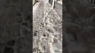 Chicago Winter Snow - January 2021
