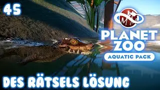 PLANET ZOO • Aquatic Pack • 45: Des Rätsels Lösung? • German Gameplay