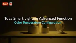 Lighting Advanced Function Color Temperature Configuration