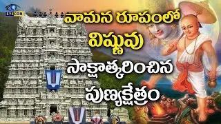వామన రూపంలో విష్ణువు  సాక్షాత్కరించిన పుణ్యక్షేత్రం | Tirukoyilur Trivikrama SwamyTemple|Eyecon fact
