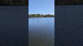 A Dose of Nature - Finding the Shine:  Sunny Lake Life at Diamond Lake