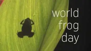 World Frog Day