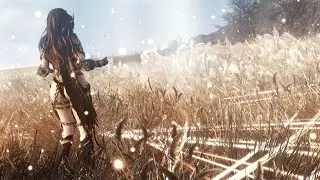 Skyrim SE: Holy Templar Magic