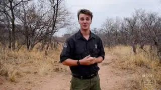 NJ MORE  Field Guide College - Student clips
