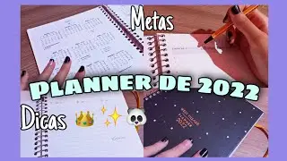 ORGANIZANDO MEU PLANNER DO PROXIMO ANO! | metas + dicas!