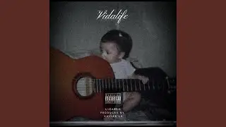 vida,life
