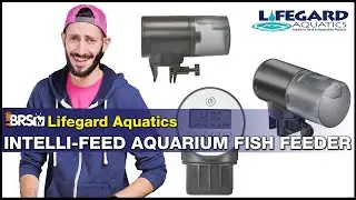 Lifegard Intelli-Feed's Rechargeable Automatic Fish Feeder. Longer Lasting Battery, Easy To Program