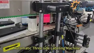 How to Package Seasoning Powder: Automatic Bottle Filling, Capping & Labeling Production Line