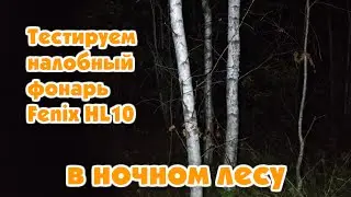 Тестируем налобный фонарь Fenix HL10 в ночном лесу
