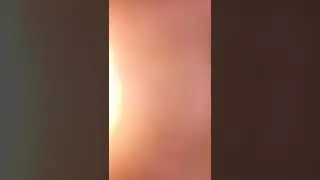 Worrybear is die