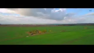 Zwischen D&ouml;lau und Brachwitz