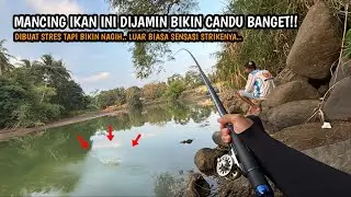 DIBUAT TAK BISA BERKATA-KATA LAGI SAMA IKAN INI!! Mancing baby gt dan tarpon di Sungai Bogowonto