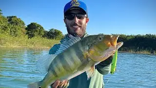 Explos&atilde;o da Joker 98, FIQUEI MALUCO! Muito Peixe na Linha...