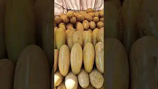 Sweet melon: a delicious taste of summer #melon