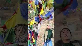 Sara rara in Rewalsar #dance #daminithakur #love #ksjindu #popsi